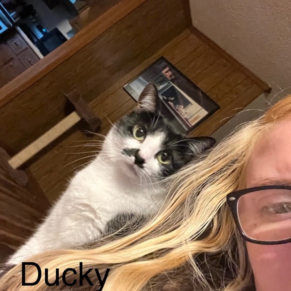 Please read 💚 - Picture 10 of 14